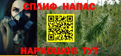 ECSTASY Канаш