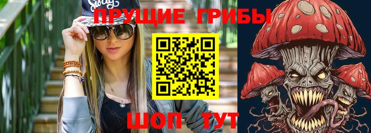 хочу   Вход с VPN  Будённовск  Псилоцибиновые грибы мухоморы 
