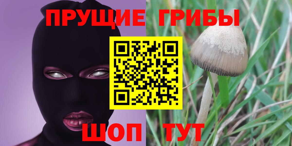 Псилоцибиновые грибы GOLDEN TEACHER Будённовск